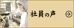 社員の声