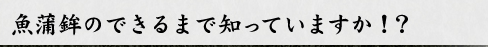 魚蒲鉾のできるまでいっていますか！？
